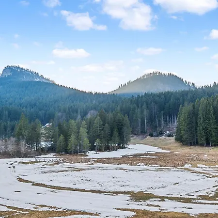 Blaa Alm Orman Evi Altaussee